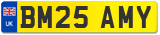 BM25 AMY