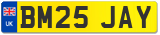 BM25 JAY