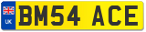 BM54 ACE