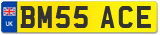 BM55 ACE