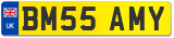 BM55 AMY