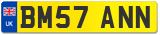 BM57 ANN