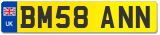 BM58 ANN