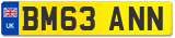 BM63 ANN