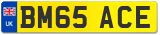 BM65 ACE