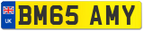 BM65 AMY