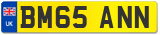 BM65 ANN