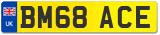 BM68 ACE