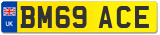 BM69 ACE