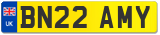 BN22 AMY