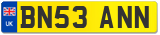 BN53 ANN