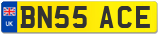 BN55 ACE