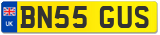 BN55 GUS