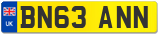 BN63 ANN