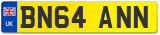 BN64 ANN