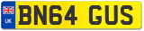 BN64 GUS