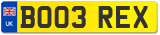 BO03 REX