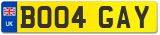 BO04 GAY