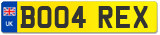 BO04 REX