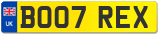 BO07 REX