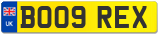 BO09 REX