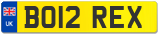 BO12 REX