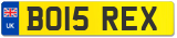 BO15 REX