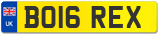 BO16 REX