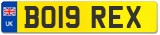 BO19 REX
