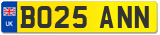 BO25 ANN