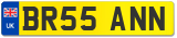 BR55 ANN