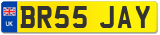 BR55 JAY