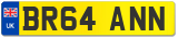 BR64 ANN