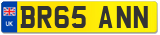 BR65 ANN