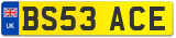 BS53 ACE