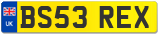 BS53 REX