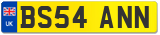 BS54 ANN