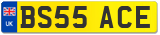 BS55 ACE