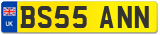 BS55 ANN