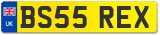 BS55 REX