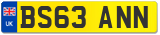 BS63 ANN