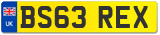 BS63 REX