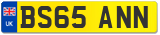 BS65 ANN