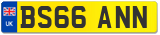 BS66 ANN