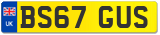 BS67 GUS