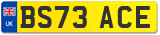 BS73 ACE