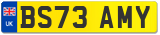 BS73 AMY