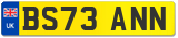 BS73 ANN