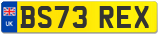 BS73 REX