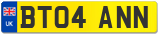 BT04 ANN